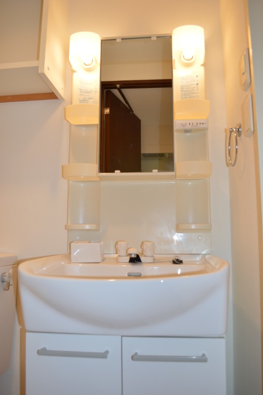 リクレイシア八丁畷9階 洗面