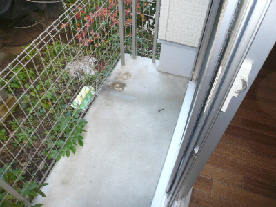 セノーテ1階 部屋設備