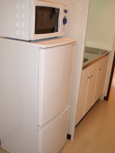 レオネクストアプリ206号室 お部屋により、大きさ種類は、異なります。