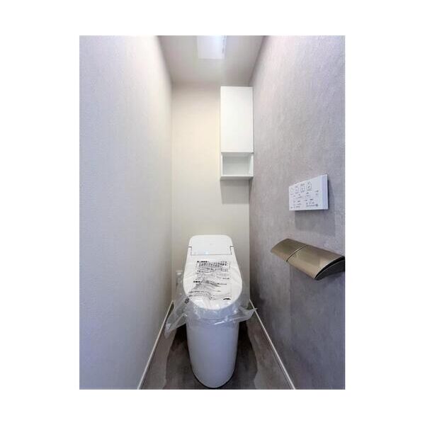 メゾンミニヨン101号室 トイレ