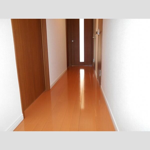 カーサ フェリーチェ 柴又201号室 廊下