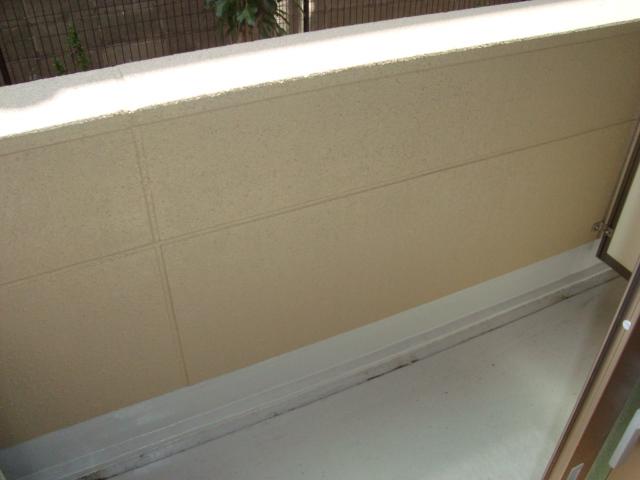 Ｇｒａｎｄ　Ｎｅｘｔ川崎201号室 ベランダ