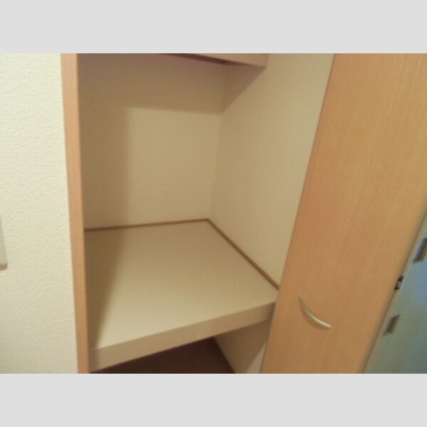 ロジュマン ミヤカイドウC C102(クローゼット)