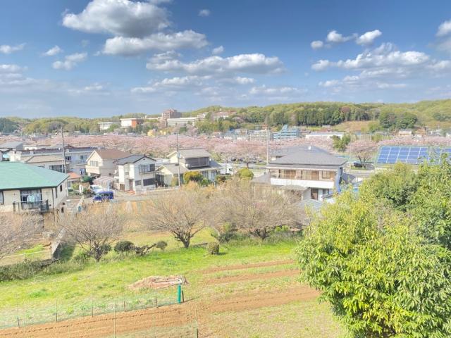 モデルナⅡ203号室 眺望