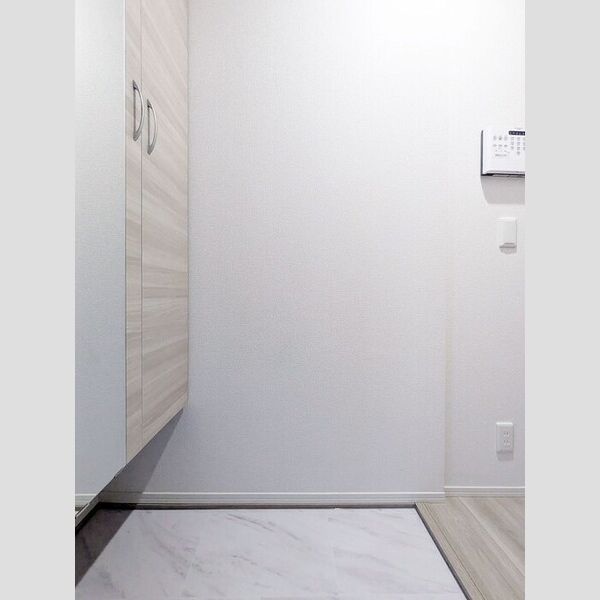 セレスティア大谷田Ⅱ203号室 玄関