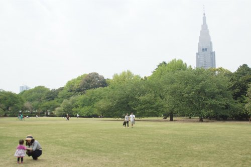 プラウドフラット新宿御苑303号室 【公園】新宿御苑まで1073ｍ