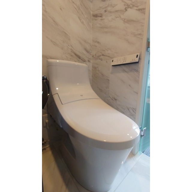 アムス早稲田（旧La Blancheur 早稲田）0403号室 トイレ