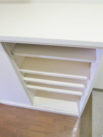 シャトー秋葉町0202号室 シューズボックス　※別号室の参考写真です(現況優先・仕様違いの場合あり)