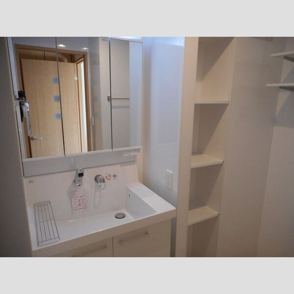 南桜301号室 洗面