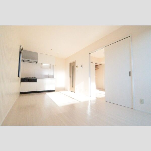 ヴィラアルテミス DK9帖