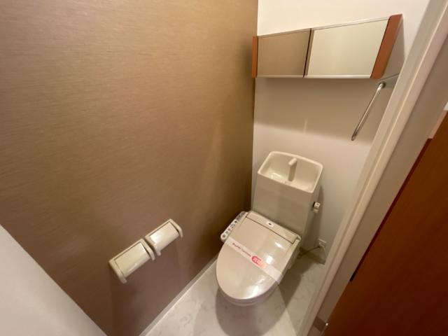 ライジング・サン203号室 シャワー付トイレ