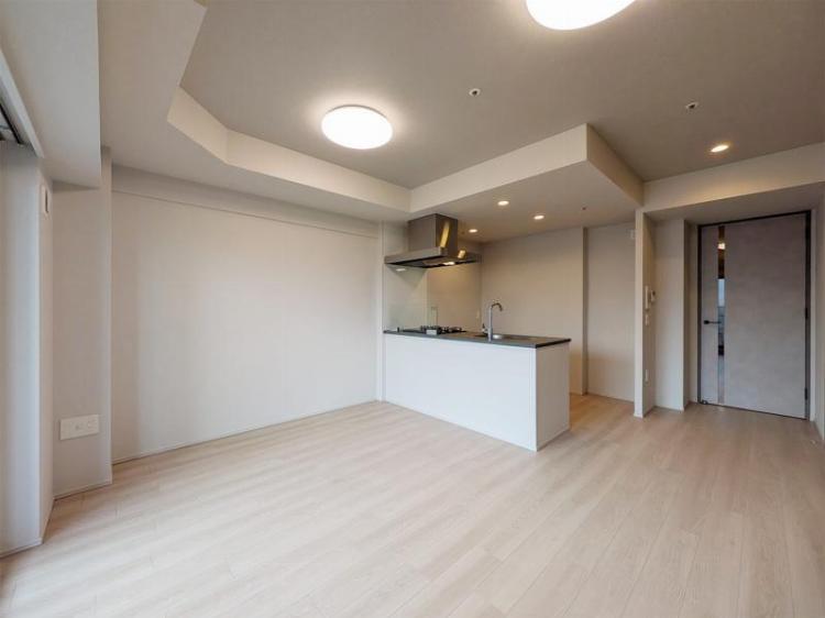 ザ・ライオンズフォーシア町屋14階 その他、部屋スペース