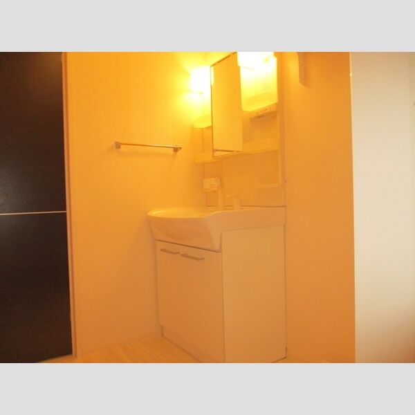 エコハウスⅡ 洗髪洗面化粧台