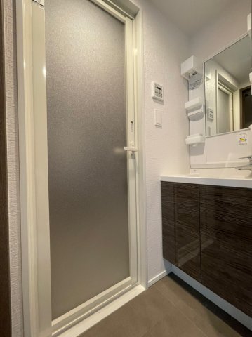 DIPS赤羽RESIDENCE606号室 洗面