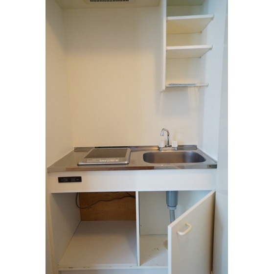 亀戸東口エトワールＭ・Ｋ0202号室 キッチン収納