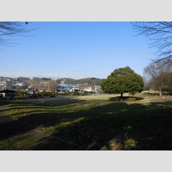 ダイヤモンドハイツ205号室 堀之内番場公園