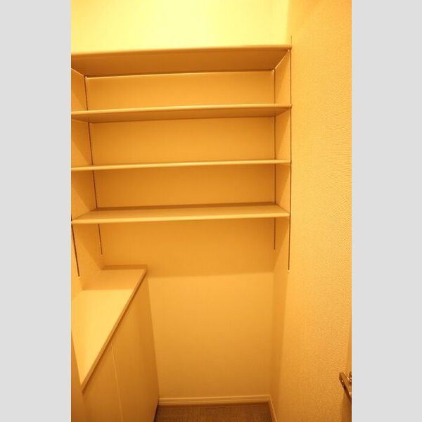 グランコート西大宮202号室 シューズボックス