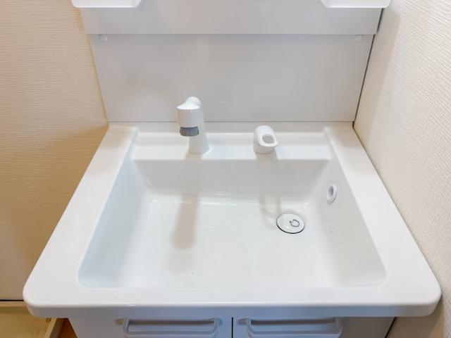 メンバーズタウンかすみ2階 洗面