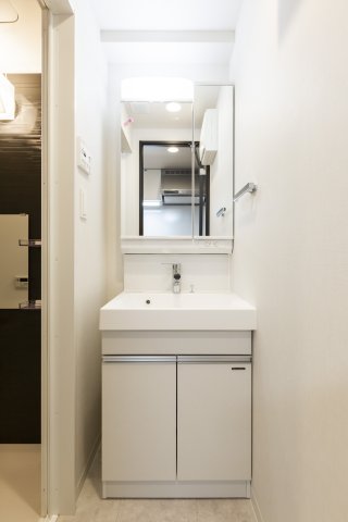 リビオメゾン大森ＥＡＳＴ204号室 洗面