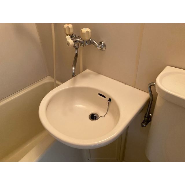 アマリリス212号室 内観