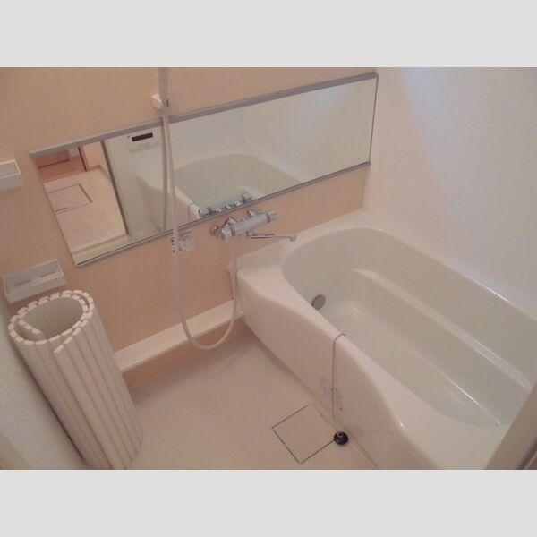 ハーモニアス瑞江　Ⅱ202号室 浴室