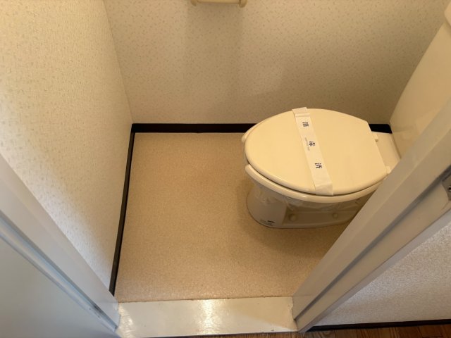 プチメゾントシ213号室 同建物別部屋の参考画像