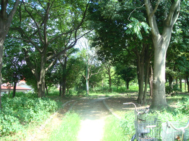 フローリーＫ（ＦｌｅｕｒｉＫ） 公園まで241ｍ