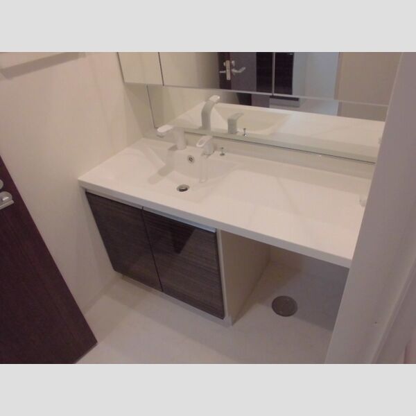 PLUM　VILLAGE205号室 洗面化粧台