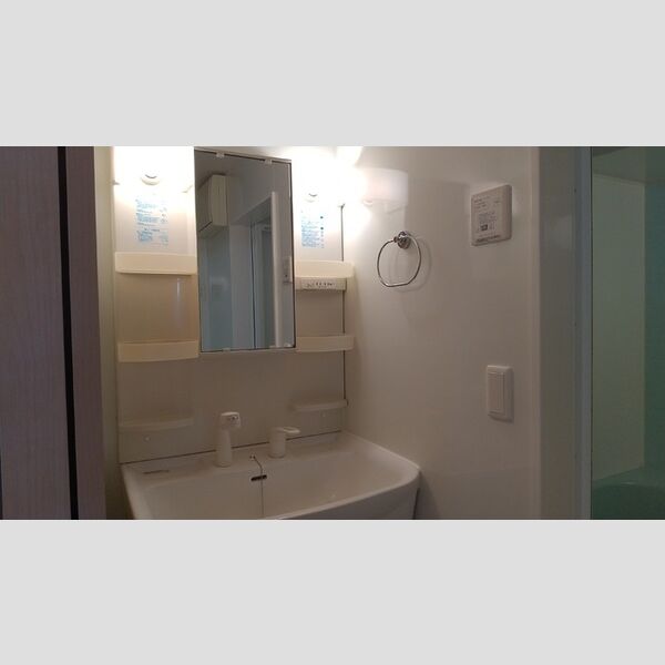 レイク藤和　A 洗髪洗面化粧台