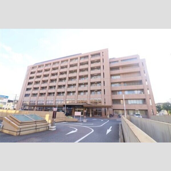 D Paina Egawa Ⅰ 医療法人社団葵会AOI国際病院