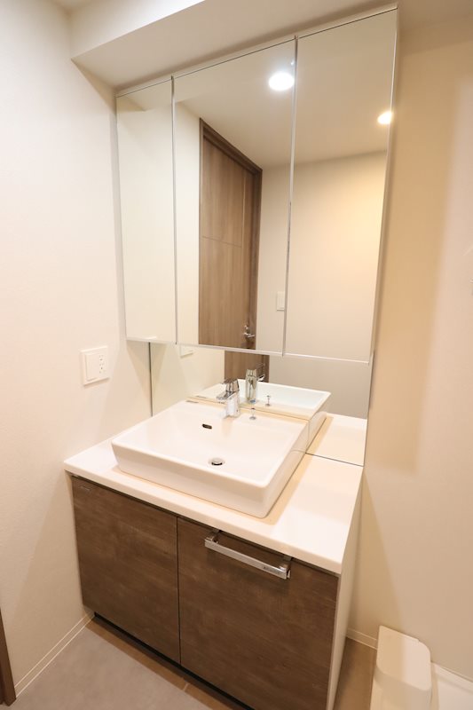 ジェノヴィア浅草Ⅵスカイガーデン1204号室 洗面