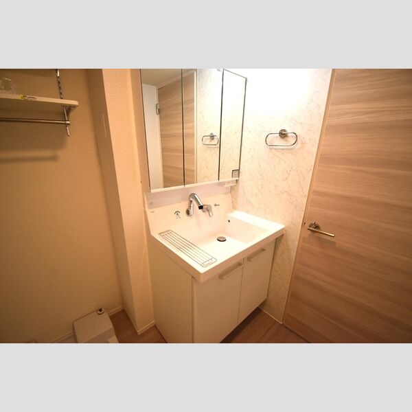 Dスクエア本町301号室 洗髪洗面化粧台