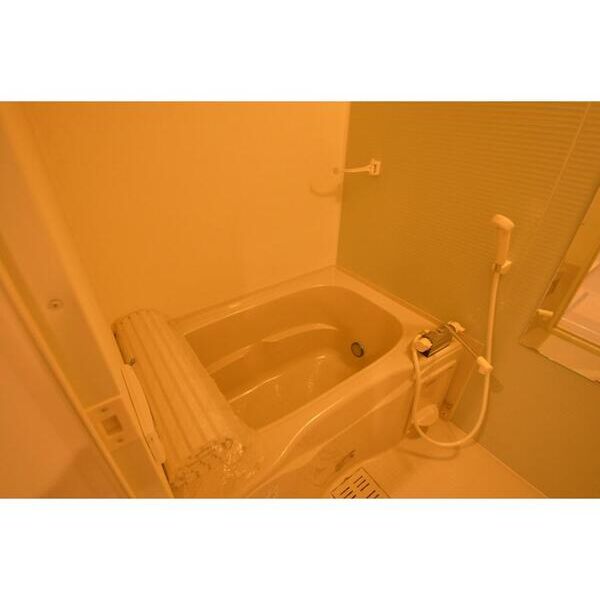 GRACE　POINT101号室 お風呂