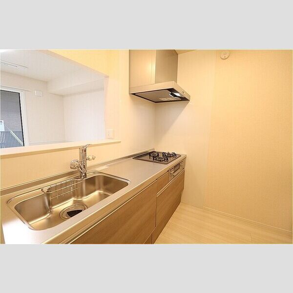 ニーナサクレ103号室 システムキッチン