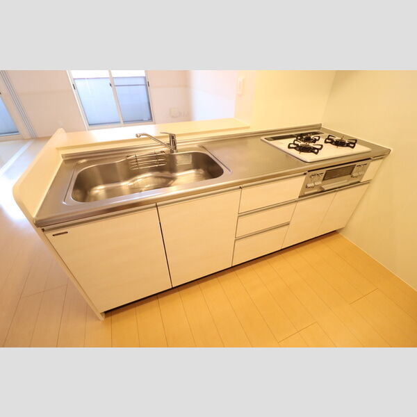 レ・セーナ202号室 システムキッチン