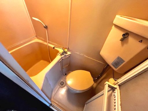 リエス稲田堤102号室 トイレ