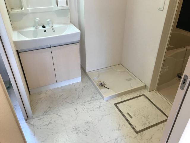 エル・ガーデン（ＥＬ・ＧＡＲＤＥＮ）101号室 脱衣所