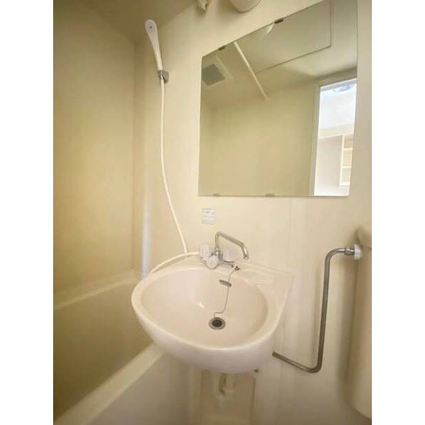 メゾン・ド・パサージュ0201号室 洗面