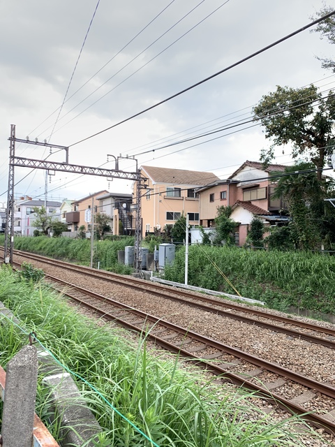 フェリーチェ湘南台0203号室 その他