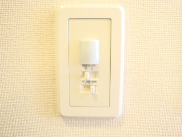 サクラーレ303号室 玄関センサー照明