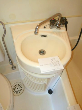 キャッスル滝沢208号室 洗面