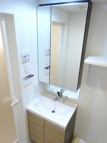 ラフィスタ蒲田南Ⅱ318号室 洗面