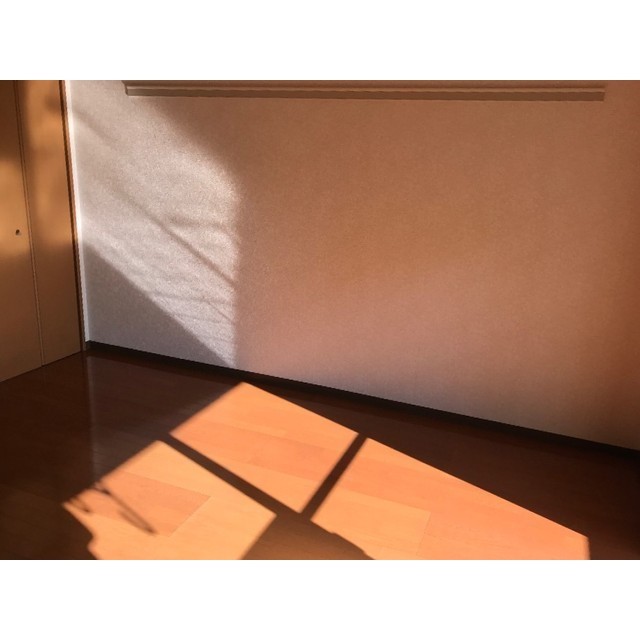 リュミエールⅡ リビング