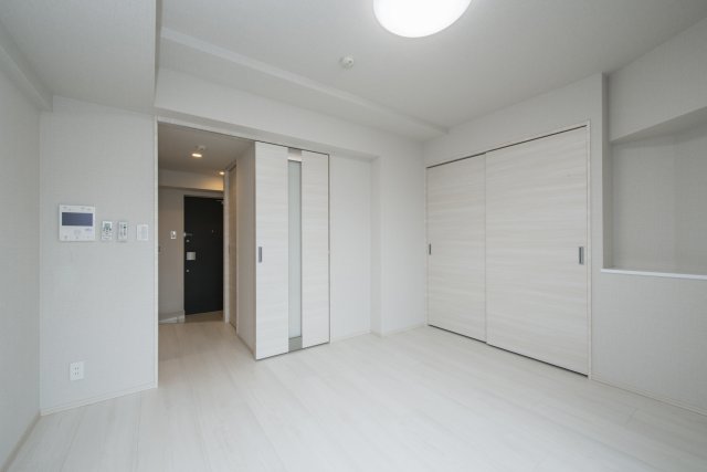 DIPS墨田EAST202号室 リビング