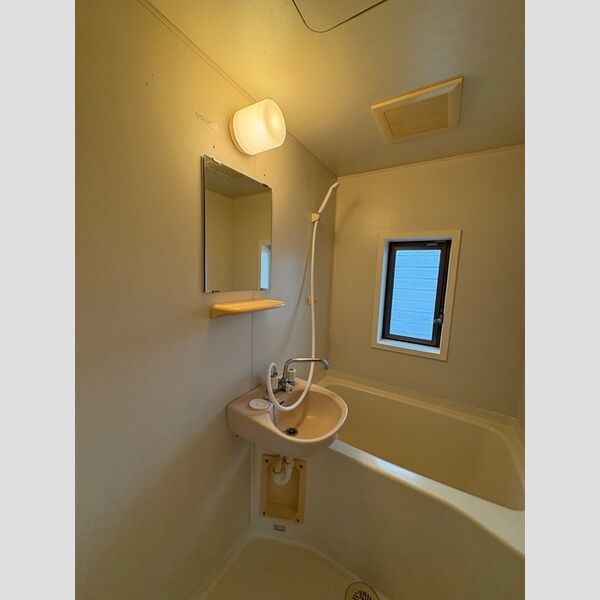 ローズハイツ115号室 洗面