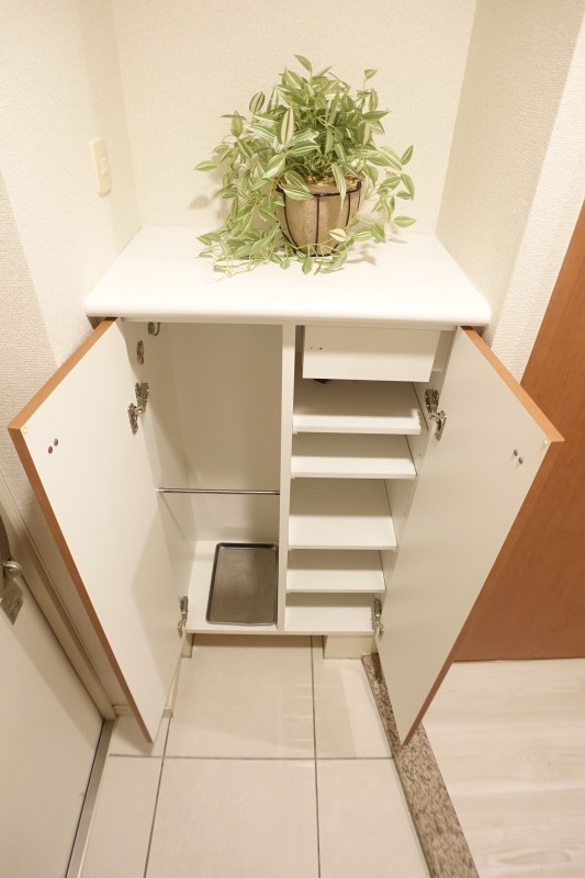 グレイスコート志村三丁目2階 収納