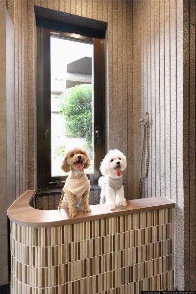 エマーレ保谷4階 同建物別部屋の参考画像