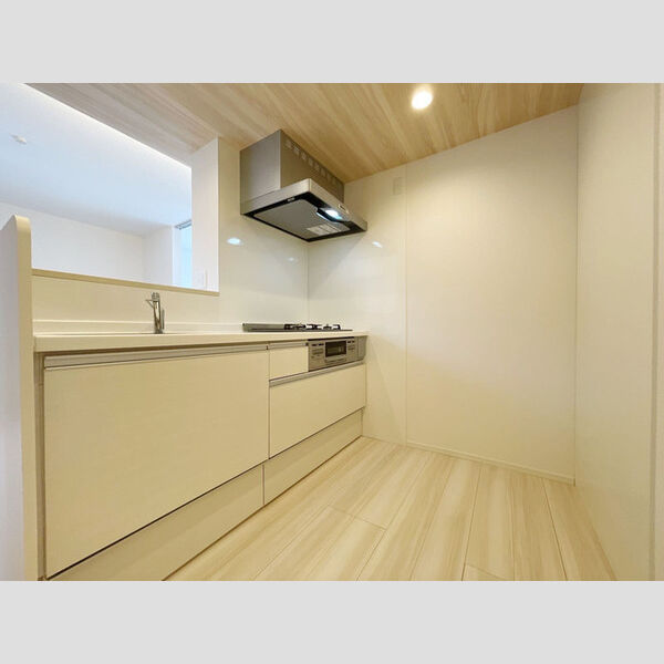 アヴァンス青井201号室 グリル付き3口システムキッチン