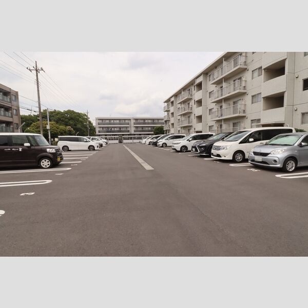 メゾンベルウッド 駐車場