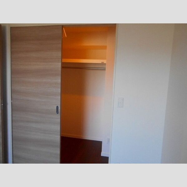 フェリス　コート0810号室 ウォークインクローゼット